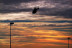 Escapada con Spa en Alexandre Hotel Frontair Congress 4* y Vuelo en Helicóptero para dos (Barcelona)