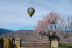 Escapada con Desayuno en Hotel Terradets y Vuelo en Globo con Fotos y Cava para dos (Lleida)