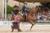 Entradas para el Espectáculo Pasión y Duende del Caballo Andaluz en Córdoba Ecuestre (Córdoba)