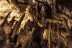 Espeleología (Ejulve, Teruel) 