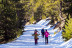 Esquí Nórdico: Forfait, Material, Monitor y Comida (Andorra)