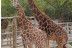Escapada en Sercotel JC1 Murcia 4* y Entrada a Terra Natura y a Aqua Natura (Murcia)