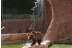 Escapada en Sercotel JC1 Murcia 4* y Entrada a Terra Natura y a Aqua Natura (Murcia)