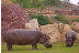 Escapada en Hotel Hyltor 4* con Jacuzzi, Masaje, Entrada a Terra Natura y Aqua Natura (Murcia)