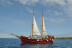 Excursión en Barco, Avistamiento de Cetáceos y Parada para Baño (Tenerife)