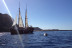 Excursión en Barco, Avistamiento de Cetáceos y Parada para Baño (Tenerife)