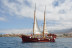 Excursión en Barco, Avistamiento de Cetáceos y Parada para Baño (Tenerife)
