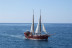 Excursión en Barco, Avistamiento de Cetáceos y Parada para Baño (Tenerife)