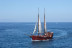 Excursión en Barco, Avistamiento de Cetáceos y Parada para Baño (Tenerife)