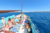 Excursión en Barca Tradicional Ibicenca con Bebidas, Tapas, Snorkel, Paddle Surf y Sea Scooter (Sant Antoni, Ibiza)
