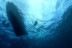 Excursión en Barco con Snorkel, Fotos y Vídeos para Visitar Lenguas de Lava Sumergidas (La Caleta de Adeje, Tenerife)
