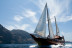 Excursión en Barco 5h, Avistamiento de Cetáceos, Los Gigantes y Comida (Tenerife)