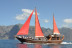 Excursión en Barco 5h, Avistamiento de Cetáceos, Los Gigantes y Comida (Tenerife)