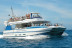 Excursión en Catamarán para Avistar Delfines y Ballenas con Bebidas (Gran Canaria)