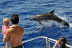 Excursión en Catamarán para Avistar Delfines y Ballenas con Bebidas (Gran Canaria)