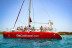 Freebird a Lobos: Excursión en Catamarán con Comida, Bebidas, Stand Up Paddle y Snorkel (Fuerteventura, Las Palmas)
