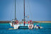 Freebird a Lobos: Excursión en Catamarán con Comida, Bebidas, Stand Up Paddle y Snorkel (Fuerteventura, Las Palmas)