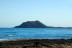 Freebird a Lobos: Excursión en Catamarán con Comida, Bebidas, Stand Up Paddle y Snorkel (Fuerteventura, Las Palmas)