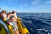 Excursión en Lancha para ver Delfines (Alcudia, Mallorca)