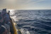 Excursión en Lancha para ver Delfines (Alcudia, Mallorca)