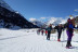 OFERTA: Excursión en Raquetas de Nieve (Madrid)