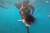 Excursión de Snorkel con Fotos y Vídeos en la Reserva Natural Protegida de La Caleta de Adeje (Tenerife)