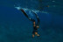 Excursión de Snorkel con Fotos y Vídeos en la Reserva Natural Protegida de La Caleta de Adeje (Tenerife)