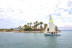 Experiencia Raquero con Monitor (Puerto de Alcudia, Mallorca)