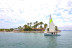 Experiencia Raquero con Monitor (Puerto de Alcudia, Mallorca)