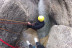 Fin de Semana de Aventura con Rafting y Actividad a Elegir en Hotel Florido (Sort, Lleida)