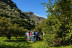 Visita a Finca de Aguacate con Desayuno Canario en Tahodio Avocado Experience (Tahodio, Santa Cruz de Tenerife)