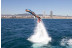 Flyboard (Barcelona)