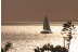 Puesta de Sol y Noche Romántica en Velero con Cena y Cava para dos (Vilanova i la Geltrú, Barcelona)