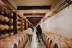 Visita a Bodegas Franco Españolas con Cata Rioja vs Ribera (Logroño, La Rioja)