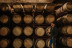 Visita a Bodegas Franco Españolas con Cata Rioja vs Ribera (Logroño, La Rioja)