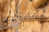 Visita Completa al Caminito del Rey con Guía, Entradas y Bus Lanzadera desde El Chorro (Málaga)