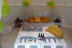 Escapada con Desayuno en Glamping The Teepee (Mombeltrán, Ávila)