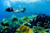 Snorkel (Puerto Rico, Gran Canaria)