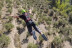 Puenting en Alcoy o Mascarat con Fotos y Vídeos (Alicante)