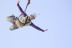 Puenting en Alcoy o Mascarat con Fotos y Vídeos (Alicante)