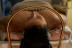 Ritual de Head Spa a Elegir en Huamacto Head Spa Ourense (Madrid)