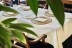 Almuerzo o Cena para dos en Hotel Best Western Premier CMC Girona 4* (Girona)
