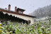 Escapada de 2 Noches con Cena en Hotel Rural El Rexacu (Bobia de Arriba, Asturias)
