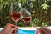 Escapada con Encanto y Ruta del Vino en Hotel Enoturismo Mainetes (Albacete)
