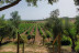Escapada con Encanto y Ruta del Vino en Hotel Enoturismo Mainetes (Albacete)