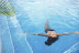 Day Pass, Circuito Spa y Desayuno para dos en Hotel Coronado Thalasso & Spa 5* (Mallorca)