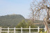Escapada Rural de 2 Noches en Hotel Del Carmen (Prado Del Rey, Cádiz)