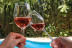 Ruta del Vino: Visita a Bodega, Cata y Menú Degustación para dos en Hotel Enoturismo Mainetes (Albacete)
