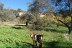 Escapada Rural con Desayuno en Hotel La Era de Aracena 3* (Huelva)