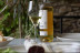 Escapada en Hotel Boutique Niu de Sol y Visita a Bodega La Vinyeta (Palau-Saverdera, Girona)